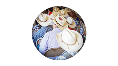 sustainable tea and coffee